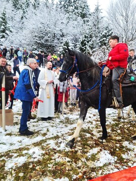 Blagoslova konj na Štefanji Gori se je udeležilo 30 konjenikov